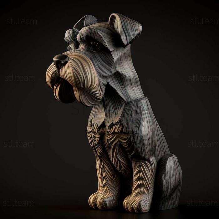 Zwergschnauzer dog